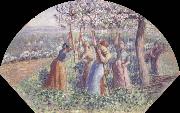 Camille Pissarro Peasant Women Placing pea-Sticks in the Ground oil